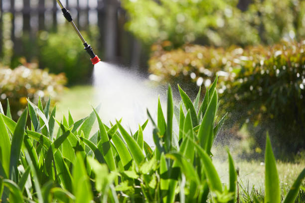 Tamper-Resistant Bait Stations for Rodents in Six Mile